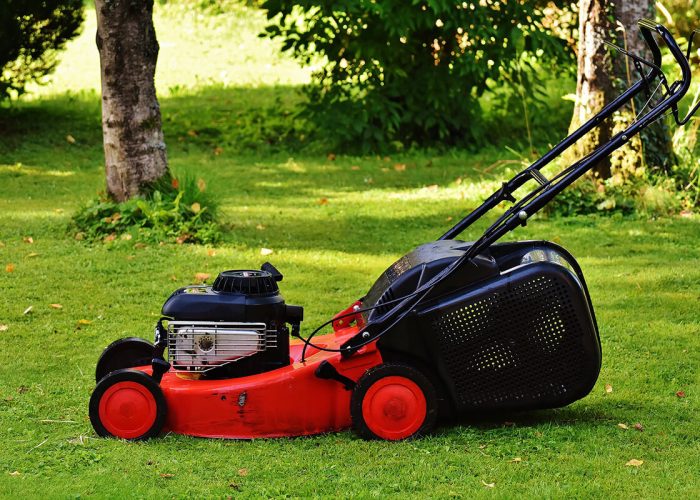 Gartenpflege Service